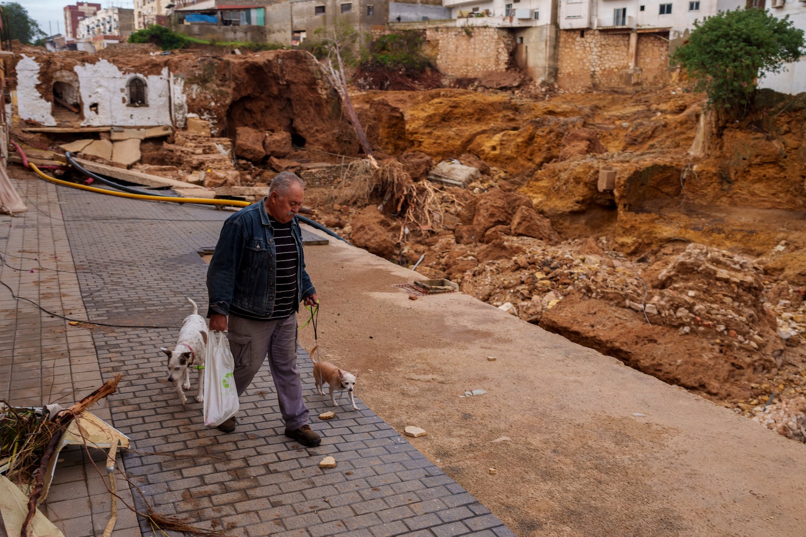 A man walks his dogs in front of an area affected by flooding in Chiva, Spain, Friday, Nov. 1, 2024. (AP Photo/Manu Fernandez)