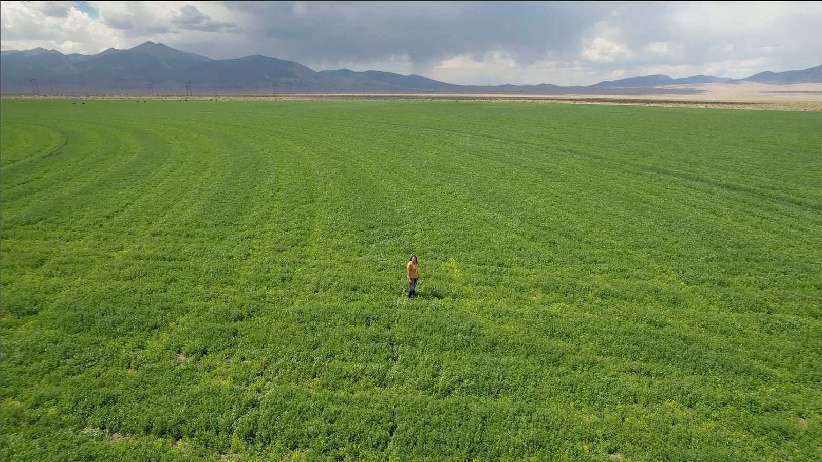 Janille Baker, Baker ranch's controller, stands in a field on the Baker Ranch Monday, Sept. 9, 2024, in Baker, Nevada. (AP Photo/Rick Bowmer)